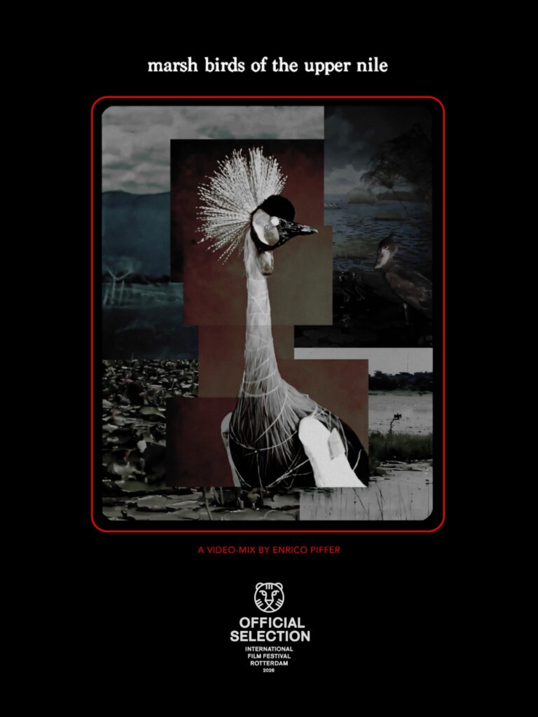 Enrico Montibeller Piffer