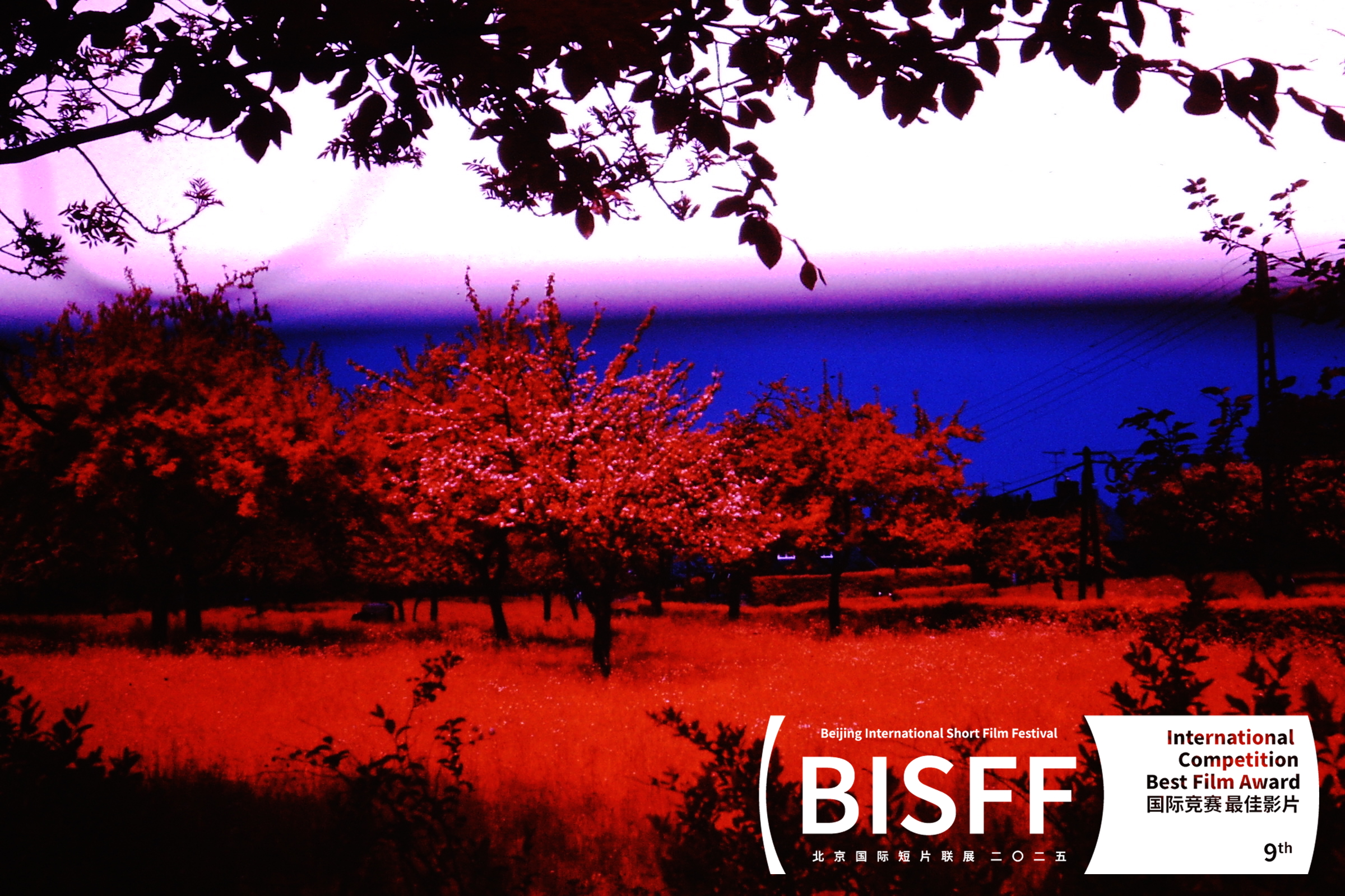 Sofie Blom Riverlands